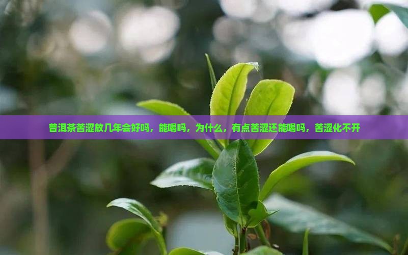 普洱茶苦涩放几年会好吗