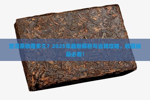 普洱茶一般几年能购买藏