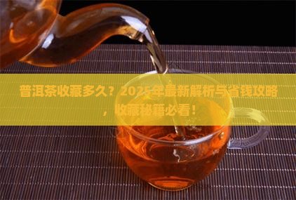 普洱茶一般几年能购买藏
