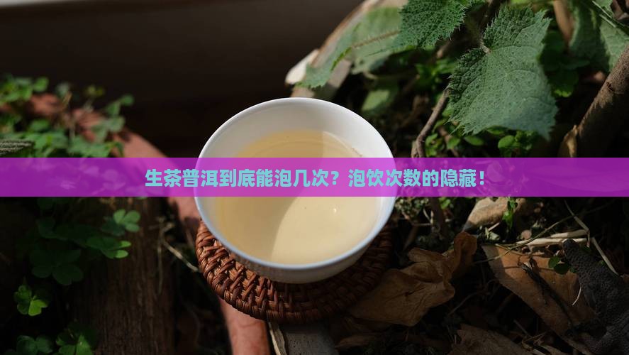 生茶普洱泡几次