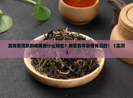 潞海普洱茶历史背景资料