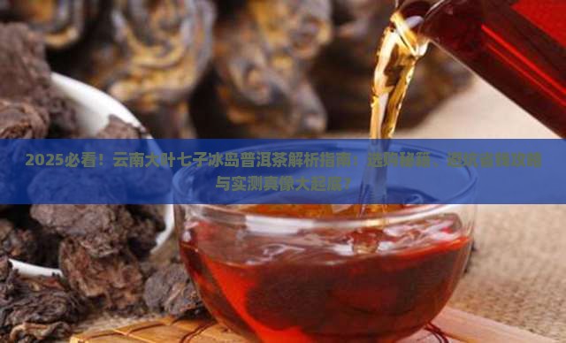 云南大叶七子冰岛普洱茶