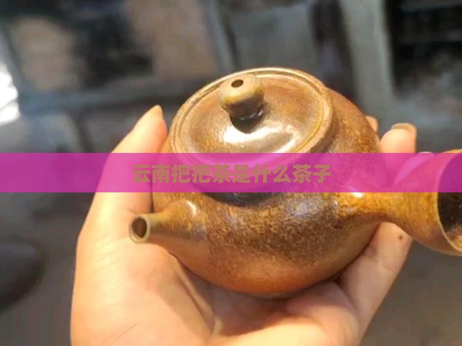 云南把把茶是什么茶子