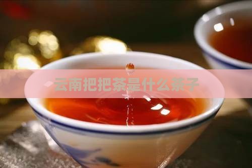 云南把把茶是什么茶子