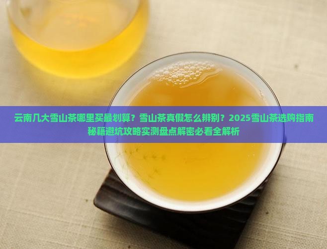 云南几大雪山茶