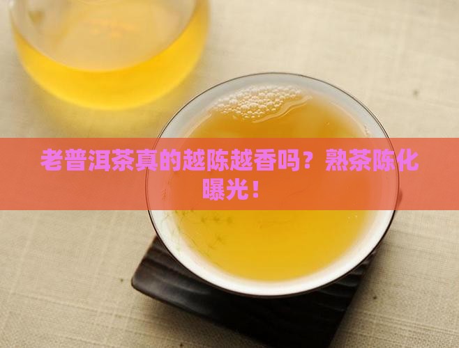 普洱茶熟茶老普洱茶