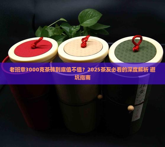老班章3000克茶砖