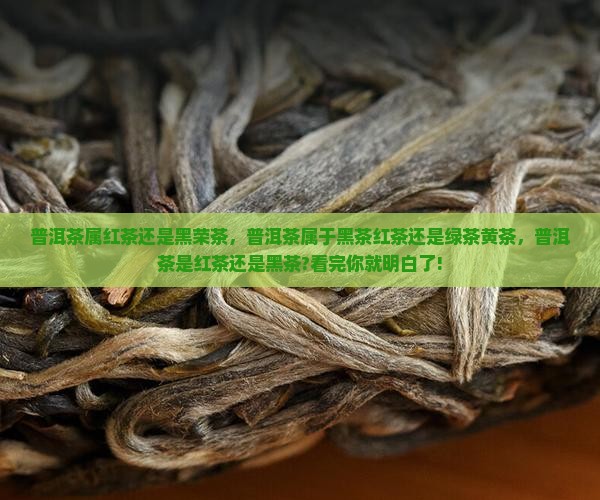 普洱茶属红茶还是黑荣