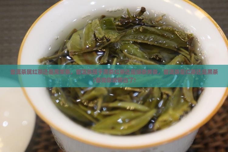 普洱茶属红茶还是黑荣