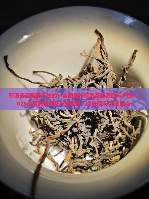 普洱茶是哪里产生的