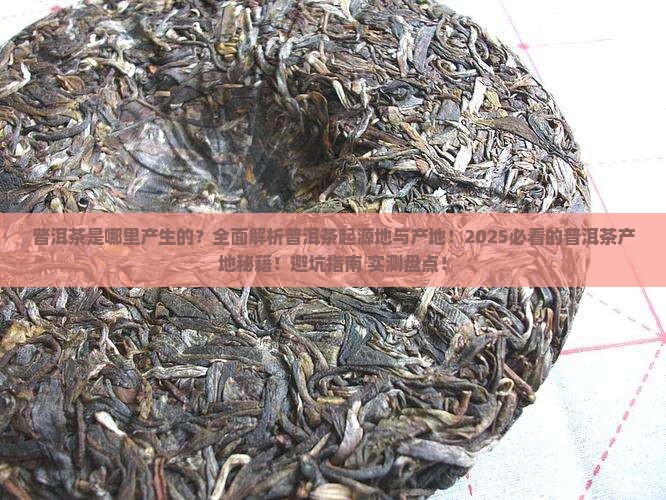 普洱茶是哪里产生的