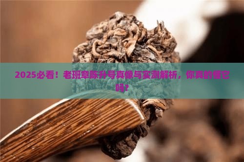 2008年老班章陈升号