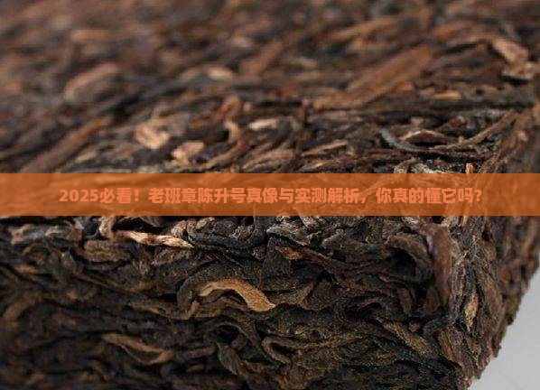 2008年老班章陈升号