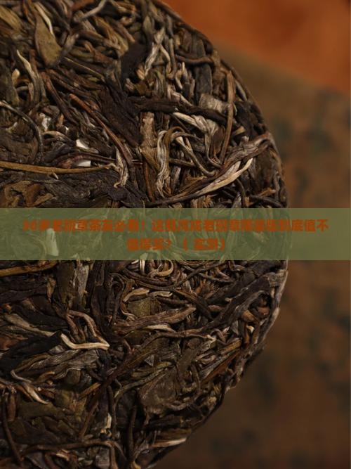 戊戌老班章限量版