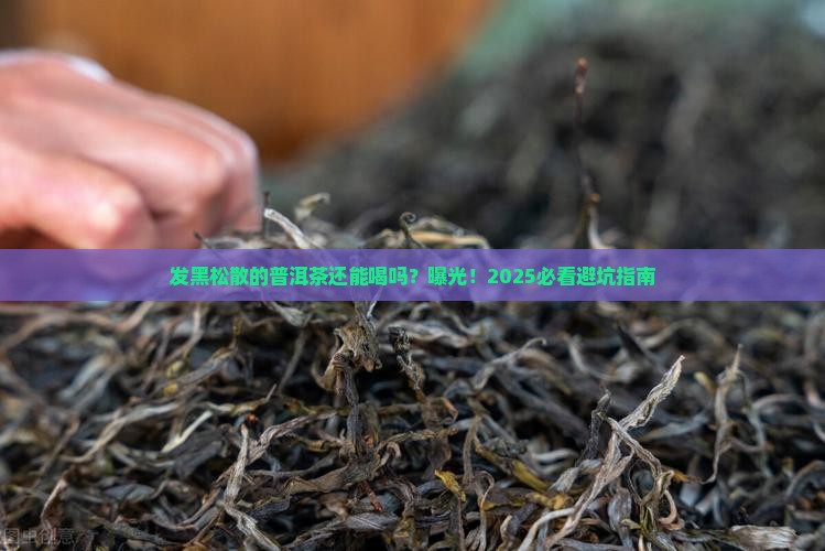 发黑松散的普洱茶可以喝吗