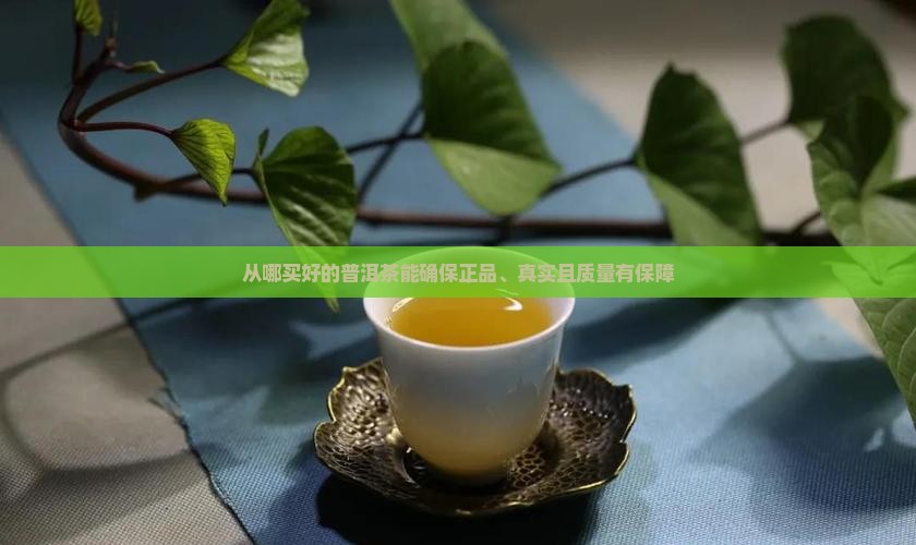 从哪买好的普洱茶