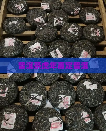 普洱茶虎年高定