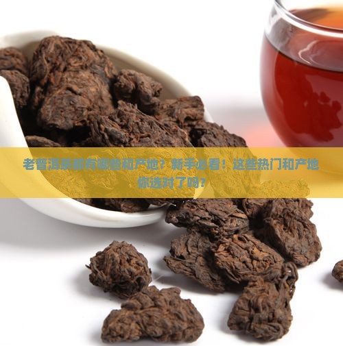 老普洱茶都有哪些品牌和产地
