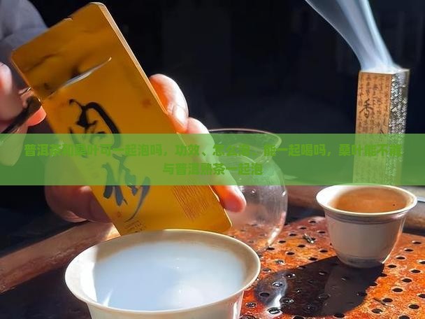 普洱茶和桑叶可一起泡吗