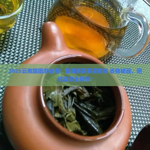 云南跟团游普洱茶可以买