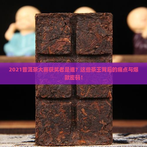 2021普洱茶大赛获奖者