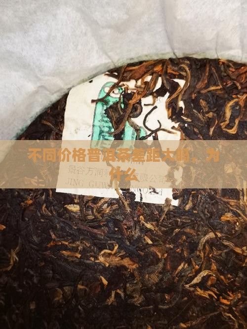 不同价格普洱茶差距大吗