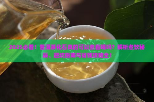 普洱茶化石可以煮着喝