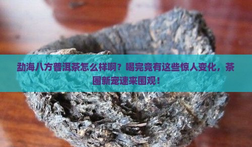 勐海八方普洱茶怎么样啊