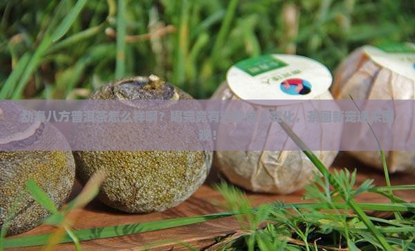 勐海八方普洱茶怎么样啊