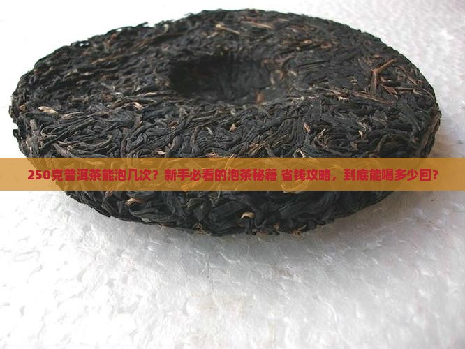 250克普洱茶能泡几次