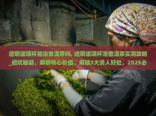 透明玻璃杯能泡普洱茶吗