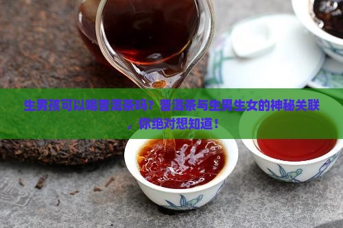 生男孩可以喝普洱茶吗