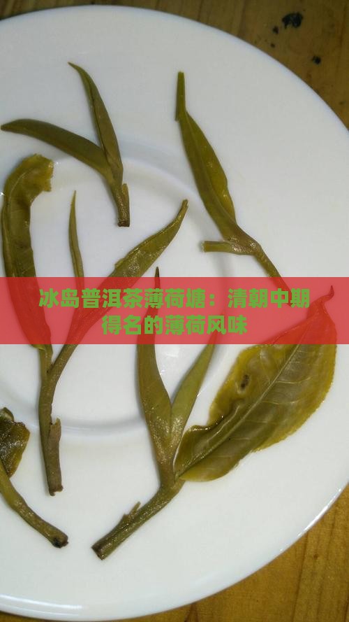 冰岛普洱茶薄荷塘