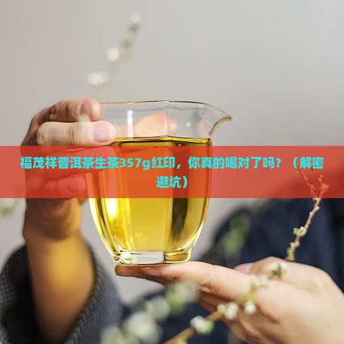 福茂祥普洱茶生茶357g红印