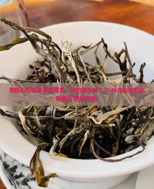南糯山石头老寨普洱茶