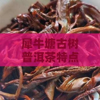犀牛塘古树普洱茶特点