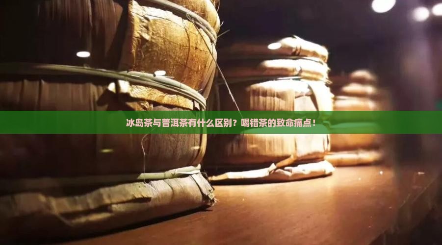 冰岛茶与普洱茶