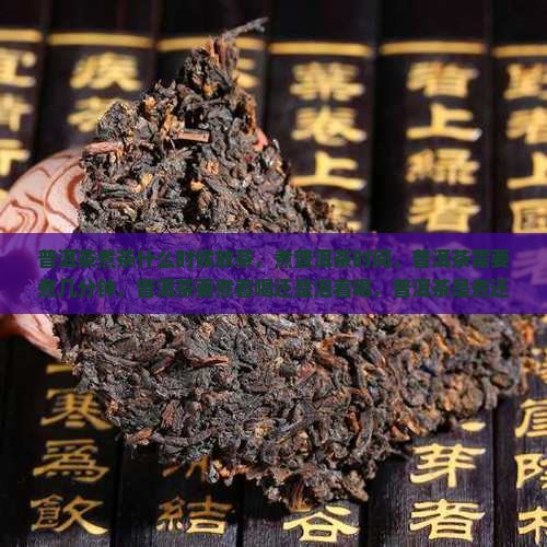 普洱茶煮茶什么时候放茶