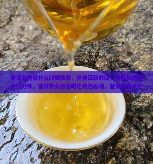 普洱茶煮茶什么时候放茶
