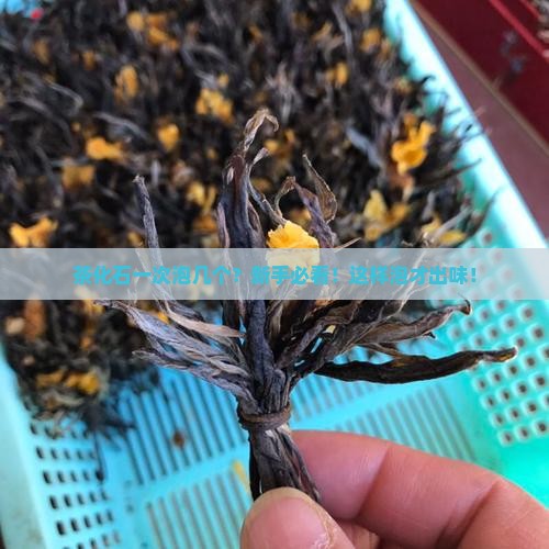 茶化石一次泡几个