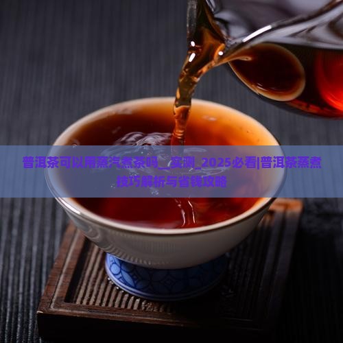 普洱茶可以用蒸汽煮茶吗
