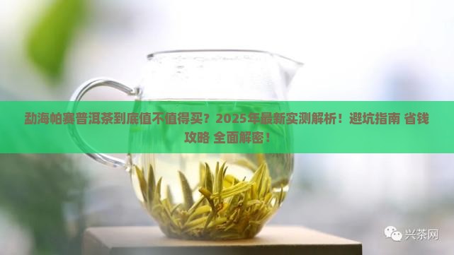 勐海帕赛普洱茶