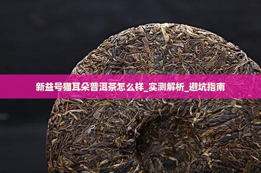 新益号猫耳朵普洱茶怎么样