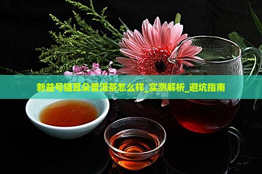 新益号猫耳朵普洱茶怎么样
