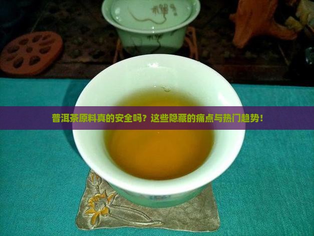 普洱茶原料分析