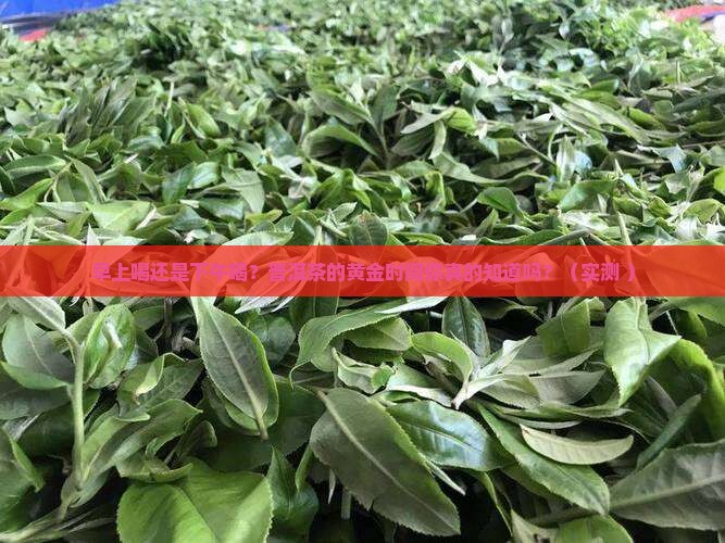 普洱茶早上喝好还是下午好