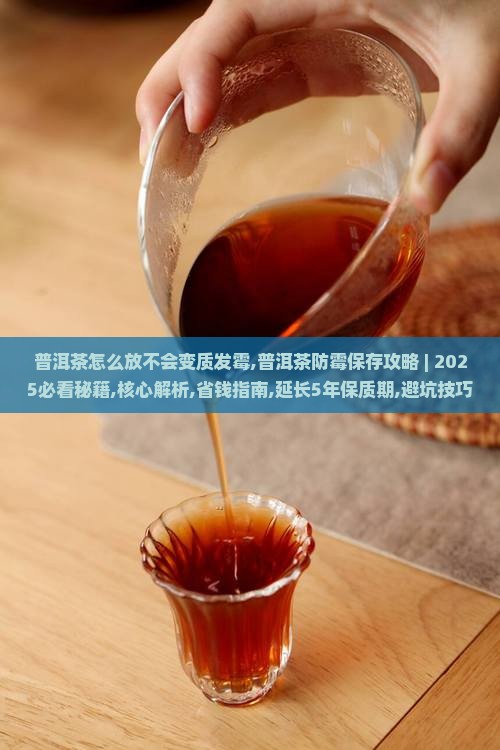 普洱茶怎么放不会变质发霉