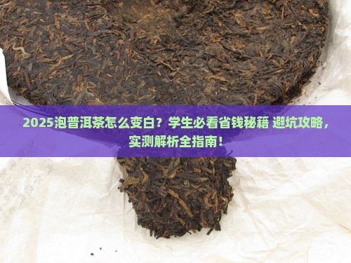 泡普洱茶怎么变白推荐学生