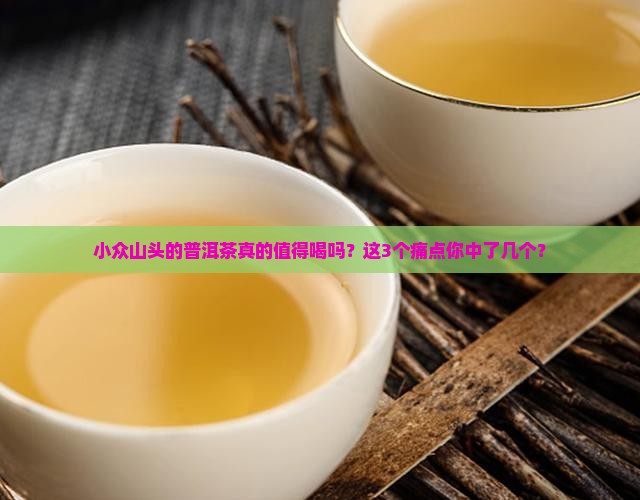 小众山头的普洱茶
