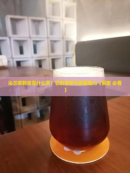 沁兰茶是什么茶